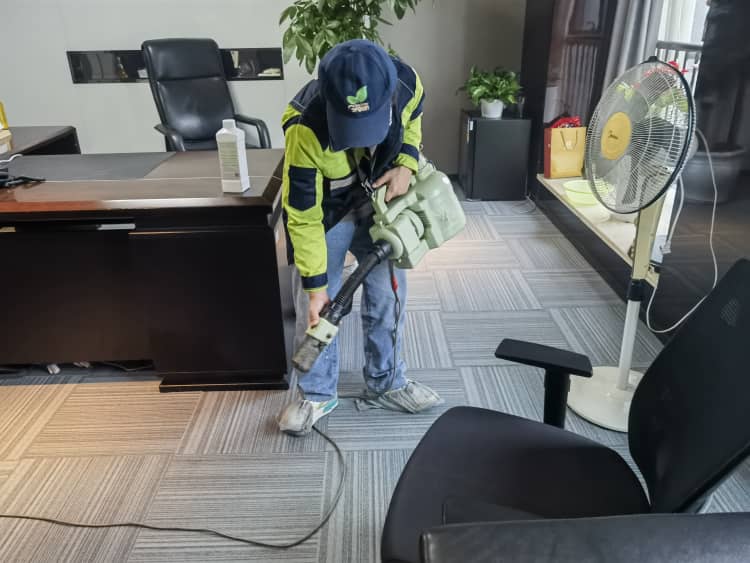 武漢除甲醛：4種常見招兒靠譜嗎？